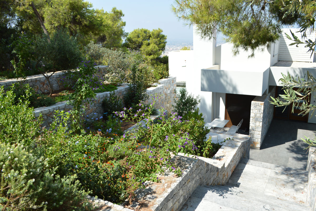 Villa Terra Creta